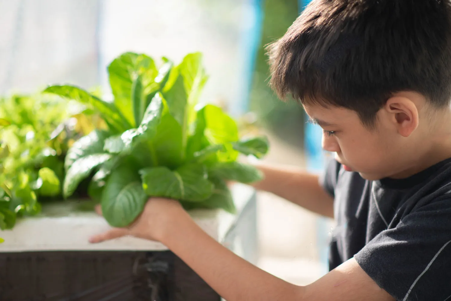 children hydroponics